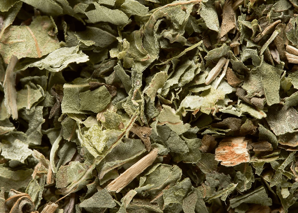 Dammann Frères Verveine Mint 24 pcs